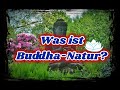 Was ist Buddha-Natur?☸️