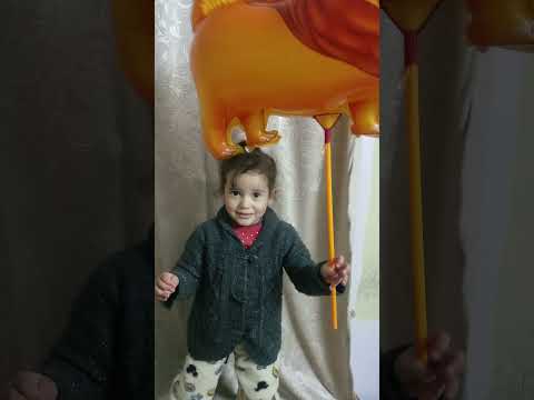 كأس إفريقيا للأمم2022 الطفلة مريم مطبوع المغربية تشجع أسود الأطلس