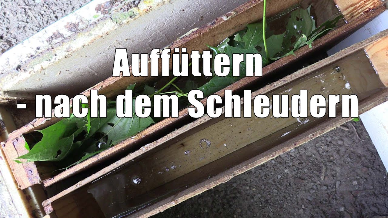 Wäsche Noch Nass Nach Schleudern Auffüttern nach dem Schleudern - YouTube