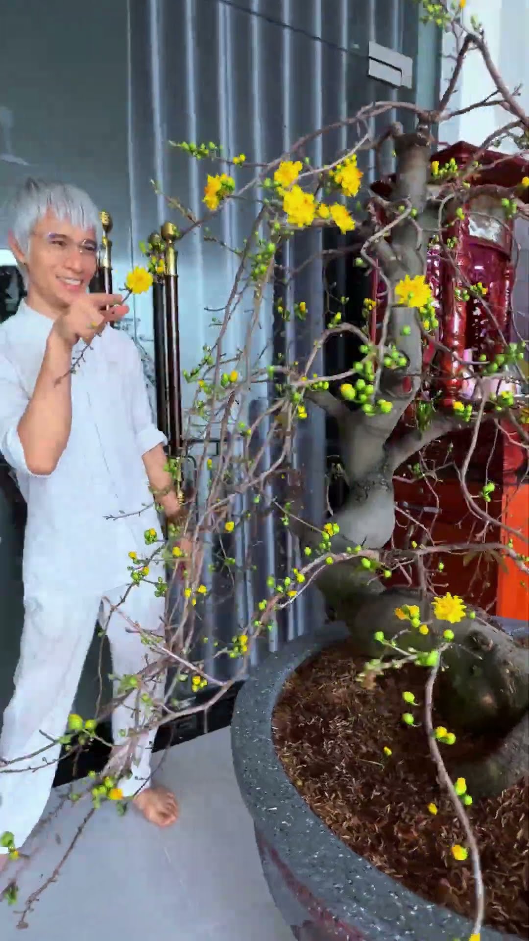 Các bạn đón tết tới đâu rồi [BEN EAGLE] #beneagle #training #kungfu #martialarts #fighting