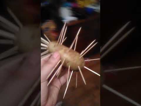 Spiky potato