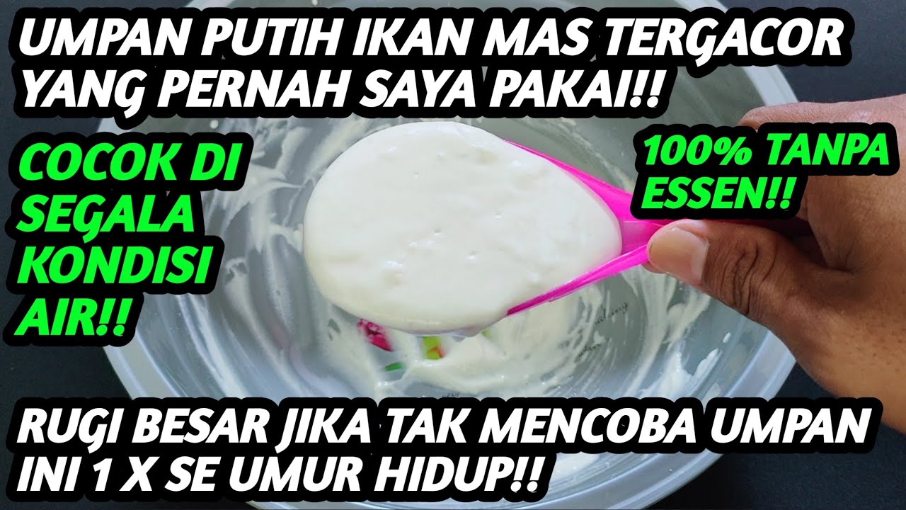 100% Tanpa essen!! umpan putih tergacor yang pernah saya coba!!