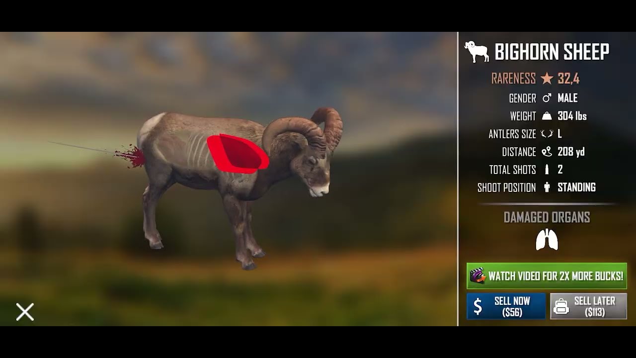 Nova epizoda serijala lovci u akciji