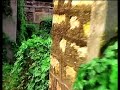闕芽悗 蝸イ蝎 闕芽悗 蝸イ蝎