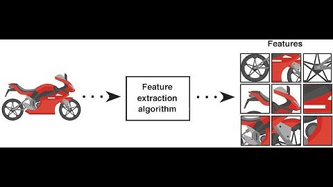Feature Extraction in Machine Vision