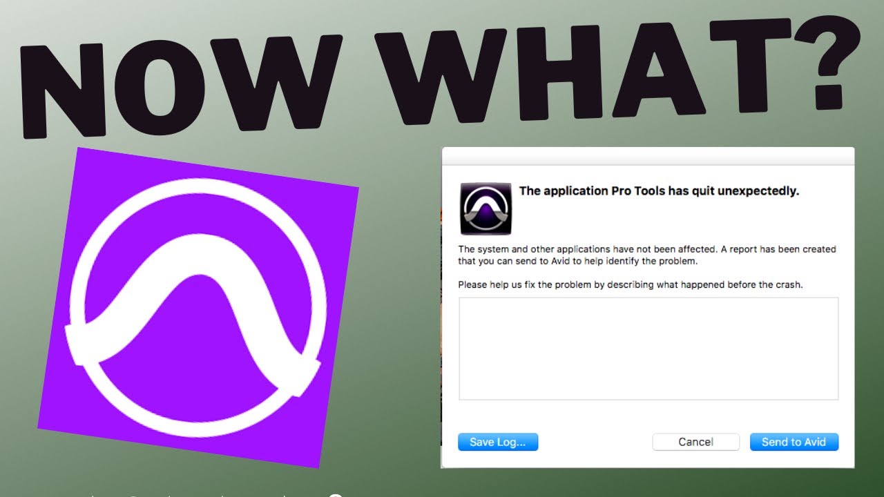 Pro Tools Keeps Quitting Unexpectedly: How To Fix The Program Crashing  