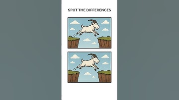 HOW MANY DIFFERENCES CAN YOUR BRAIN SPOT?