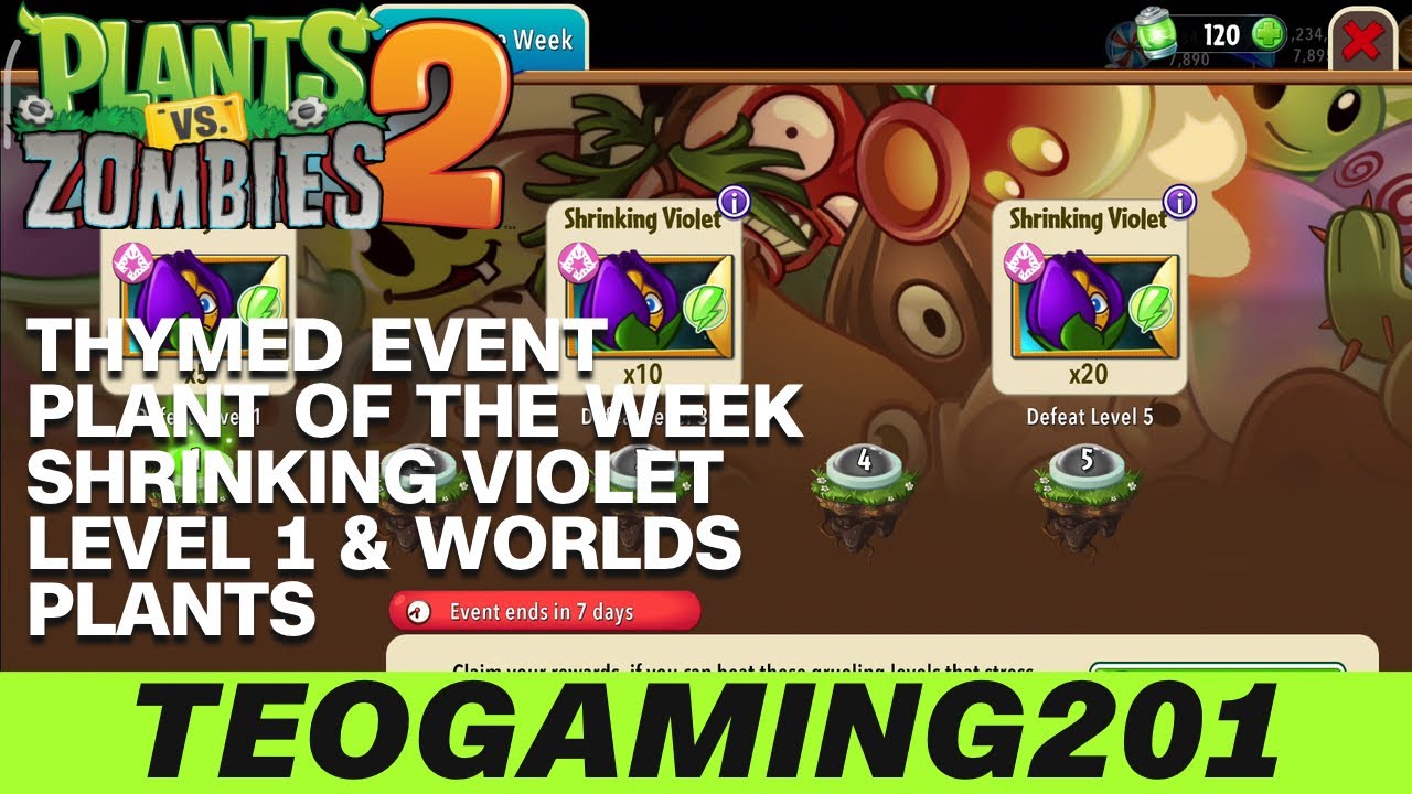 PvZ 2 Thymed Event Plant of the Week Shrinking Violet