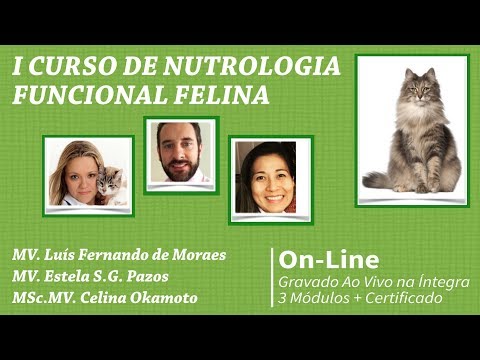 I Curso de