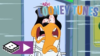 Download Lagu New Looney Tunes | First Duck On The Moon | Boomerang UK π¬π§ MP3 Download Lagu New Looney Tunes | First Duck On The Moon | Boomerang UK π¬π§ MP3