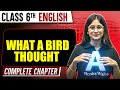 What a Bird Thought | Class 6th English | Complete Chapter