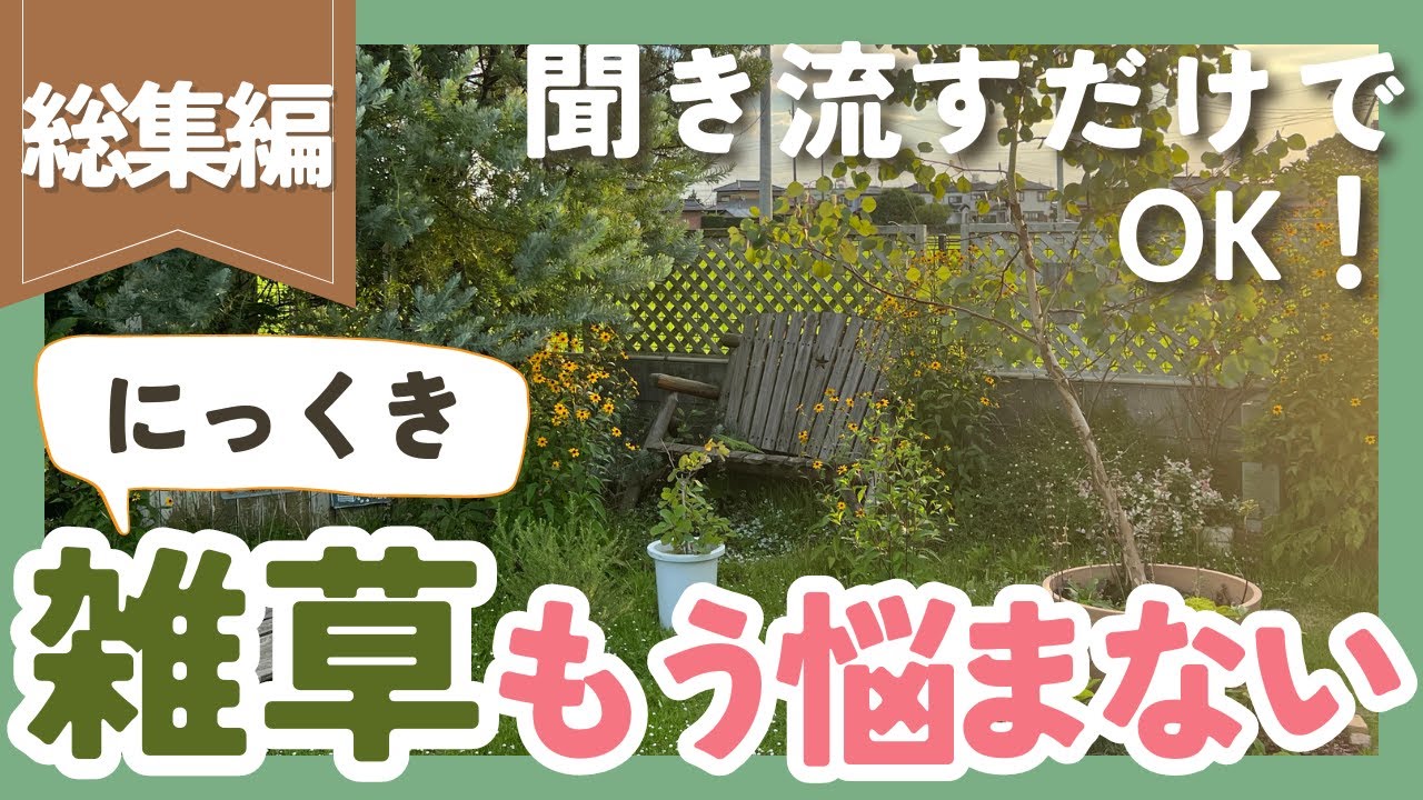 【雑草対策🌱総集編】ずぼらなのに雑草の悩みゼロ！？実際にやっている方法を詳しく解説します【ガーデニング】【園芸】