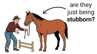 How Horses Actually Learn — And Why Most Training Works Against It