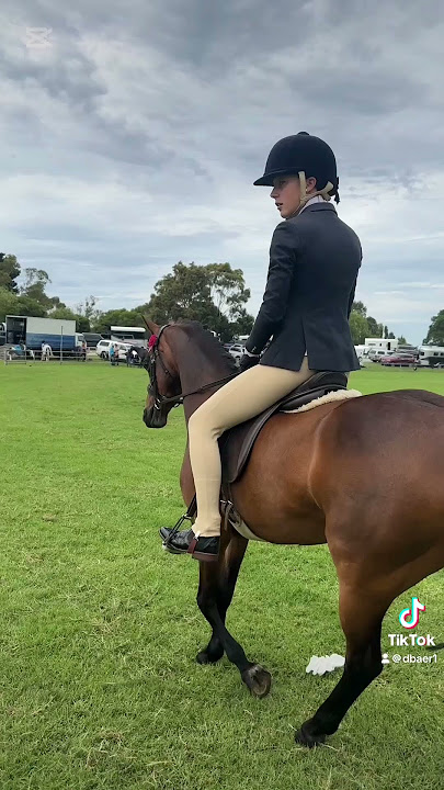 14c64c49640d432e80b81765b09271fe