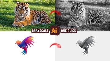 Convert Colorful Vector or image to Black and White ( Grayscale) in Illustrator | Grayscale