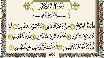 سورة التكاثر / القارئ عيسى جعفري