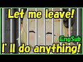 Tsunomaki Watame - Let me leave! I'll do anything!