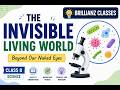 The Invisible Living World Explained | Class 8 Science Chapter 1 | Full Summary