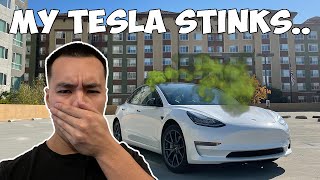 My Tesla Model 3 STINKS like Mildew *Here&#39;s How I Fixed It*