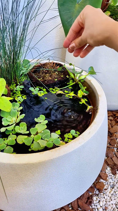 What a beautiful decoration, let me run my hand over it 😆 #interiordesigner