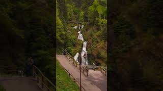 The Black Forest is home to some of Germany's most spectacular and highest waterfalls. #germany