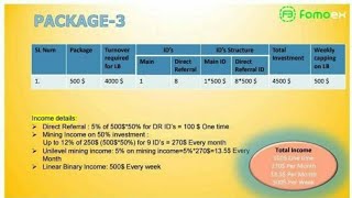 fomoex full business plan.