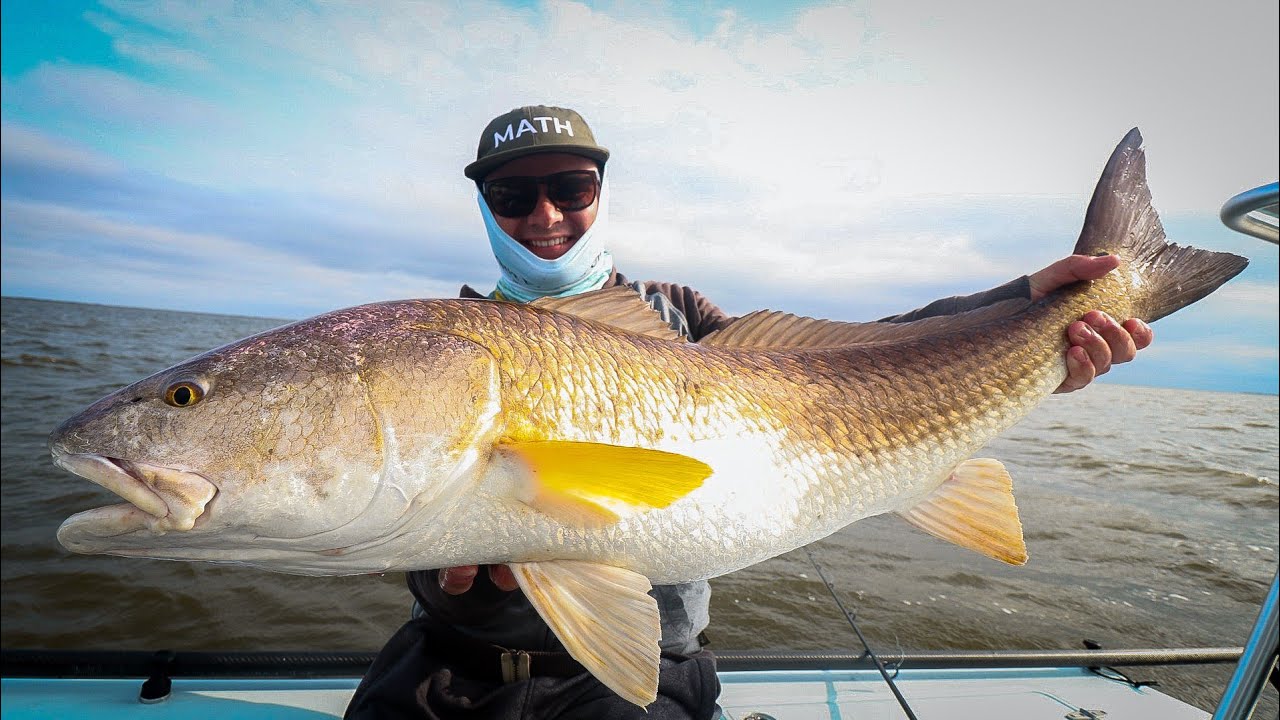 CATCHING MONSTER BULL REDFISH IN LOUISIANA Day 1 YouTube catching-monster-bull-redfish-in-louisiana-day-1-youtube