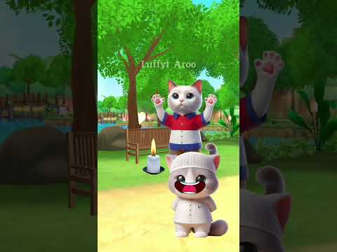 Beneran lilin ajaib pak kucing cat kucing ilovepalestina
