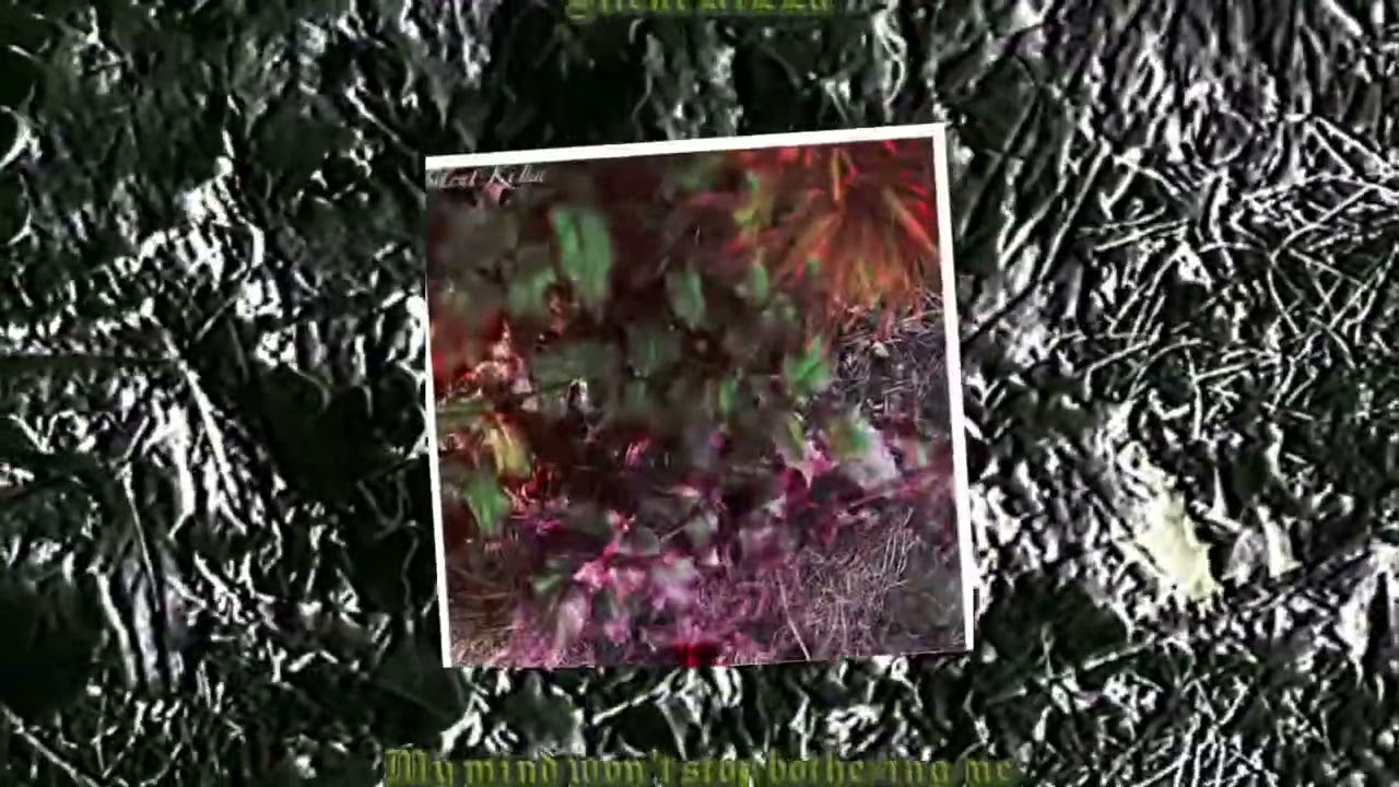 Silent KiLLa - My mind won’t stop bothering me (Official Visualizer)