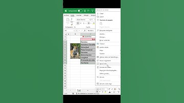 Super truco Excel Formato de celda  #excelavanzado #excel #exceltraining #tutorial