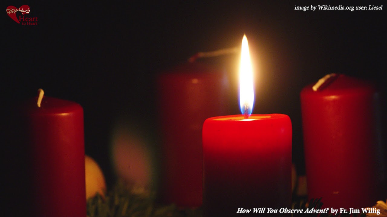 Gospel Study: How Will You Observe Advent? | Luke 21:25-28, 34-36 by Fr. Jim Willig