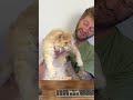 Даже коты смогут!