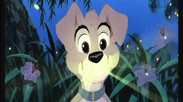 Animash MEP (Part 4)