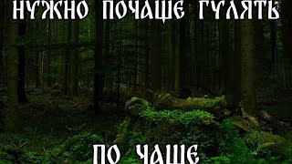 Не опять, а снова. В Лес вместе с Лес 🌲💚