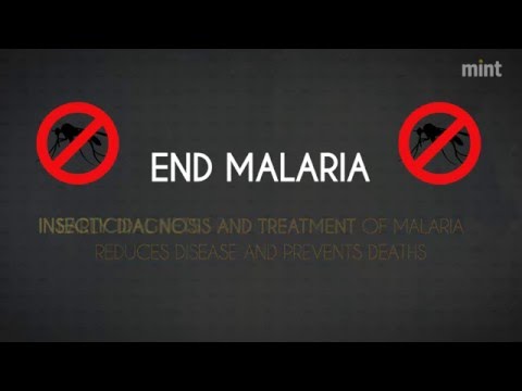 World Malaria Day