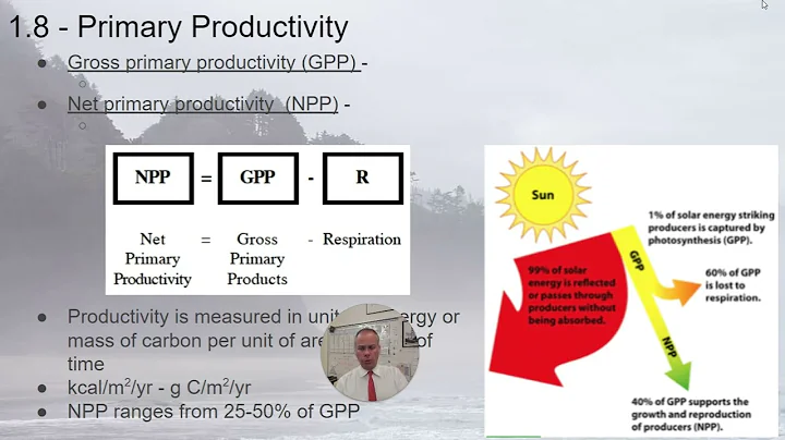 APES - 1.8 Primary Productivity