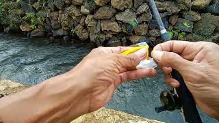Asiknya mancing uceng di spot air jernih