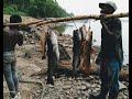 Catfishing at the Cornelius Honey Hole | Mississippi River!!