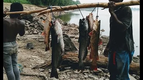 Catfishing at the Cornelius Honey Hole | Mississip...