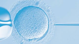 IVF Lab Tour - What happens Inside (Fertilization by ICSI to Embryo Transfer)