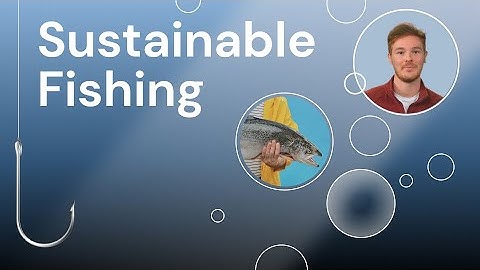 Sustainable Fishing Policies (ESG Video Template)