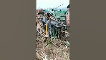 Efficient Large - Scale Onion Harvesting with Agricultural Machinery