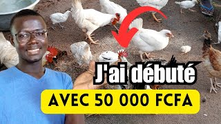 Comment débuter l'élevage des Poules Locales avec 50 000 FCFA ?