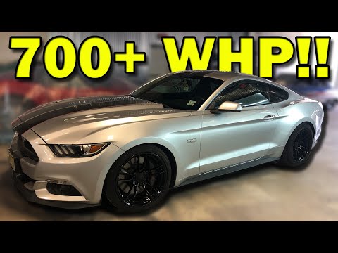 Unboxing 700 WHEEL HORSEPOWER For My Mustang GT