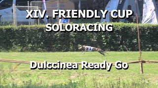 Soloracing Dulccinea Ready Go - XIV. Friendly Cup