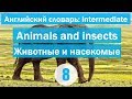 Animals and insects ||Животные и насекомые|| Английский словарь: уровень INTERMEDIATE || Урок #8