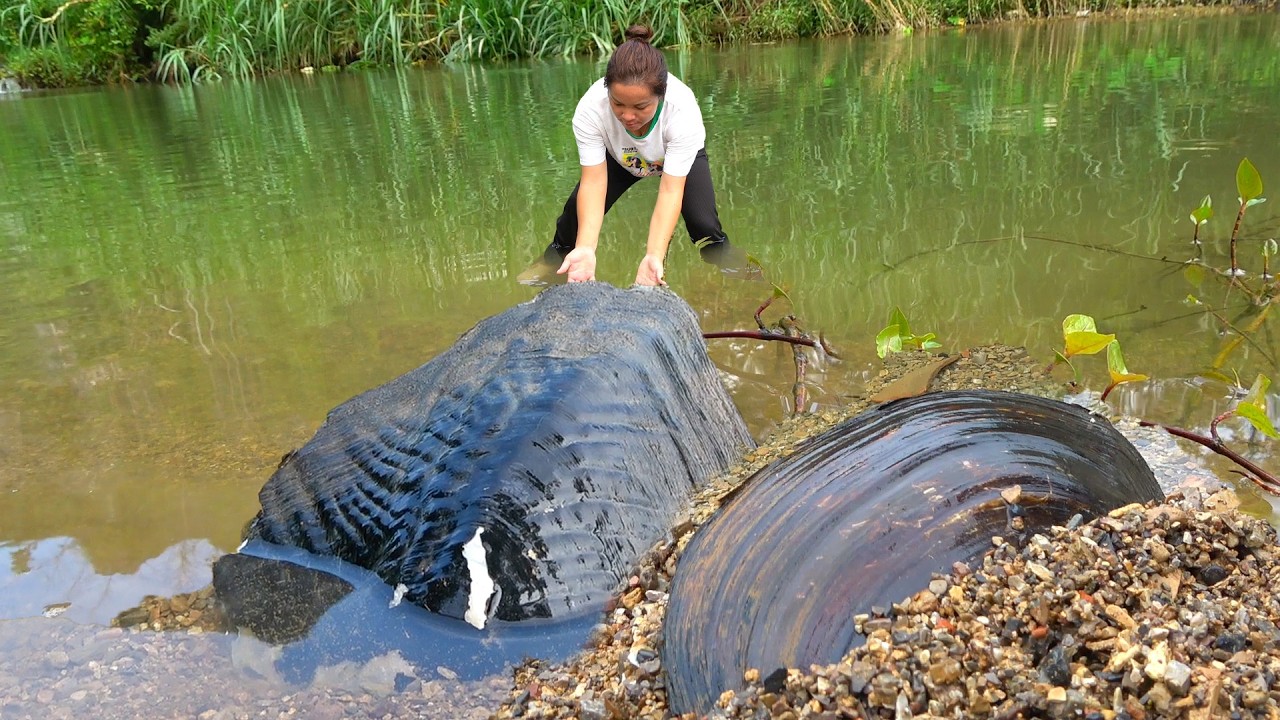 A beautiful woman met a pearl clam mountain, opened them, and pearls piled up into a mountain