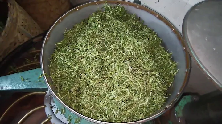 教大家如何制作绿茶，很多人都没见过，喝的茶叶原来是这样做的！ - 天天要闻