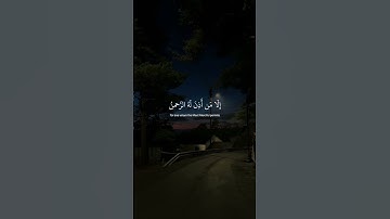 تلاوة خاشعة وجميلة للقرآن الكريم #قران_كريم #تلاوة #islamicvideo #راحة_نفسية #fyp