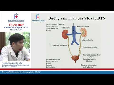 Video: Chẩn đoán Và điều Trị Nhiễm Trùng đường Tiết Niệu